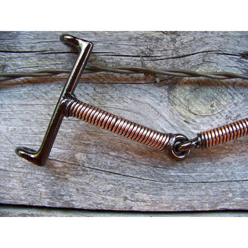 Bit -Draw Gag with Copper Wire Wrap Mouth