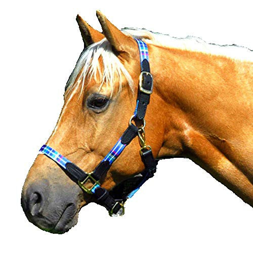 Halter - Highland Plaid Halter with Leather (Horse Size) - Blue Plaid