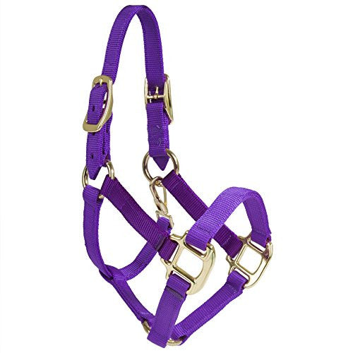 Halter - Nylon Miniature with Double Buckles on Crown (Purple - Mini)