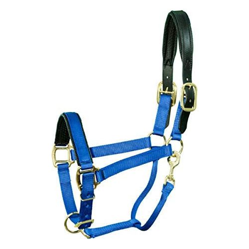 Halter - Chafeless Breakaway (Pony - Royal Blue)