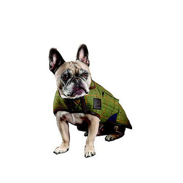 Dog Blanket - Digby & Fox Tweed Dog Coat