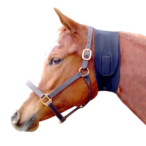 Neck Sweat - Throat Latch (5" in Blue)