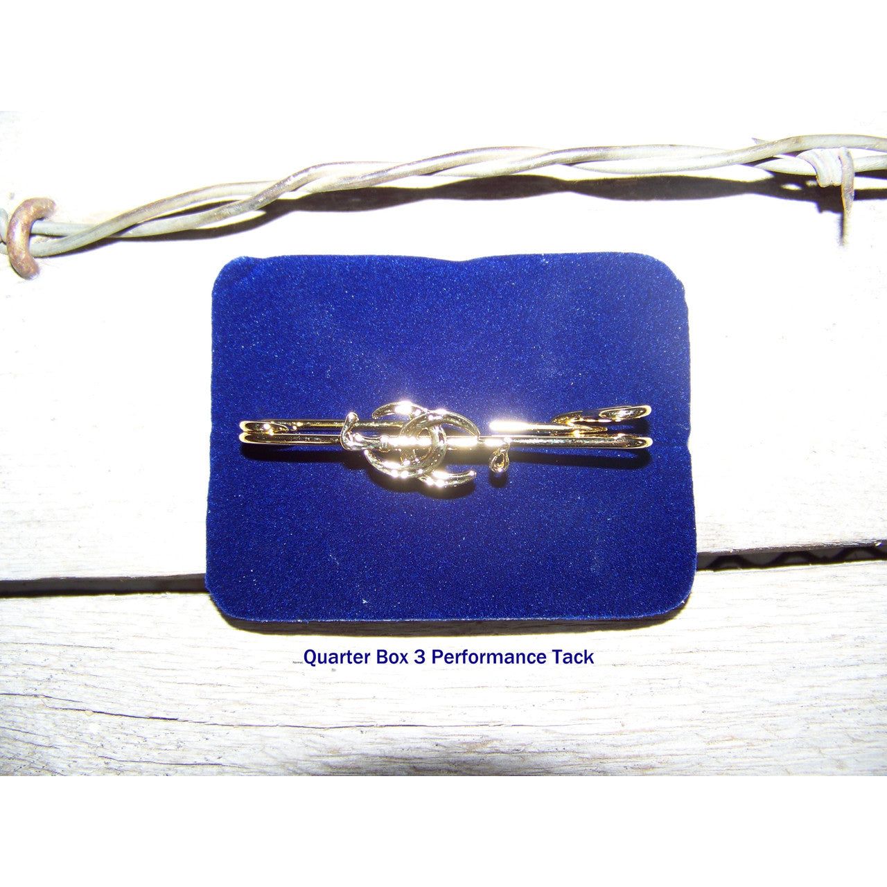 Stock Pin - Exselle Crop with Two Horseshoes